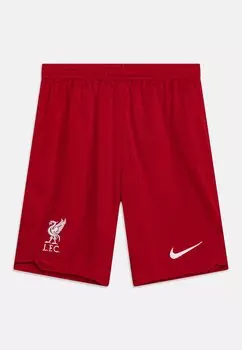 Шорты спортивные Lfc Y Nk Df Stad Short Hm Nike, цвет gym red/white