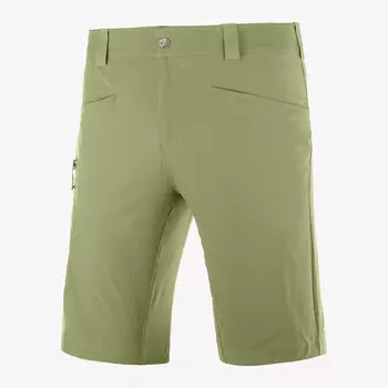 Шорты Wayfarer м Salomon