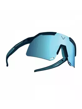 Солнцезащитные очки Salewa Ultra Evo, синий