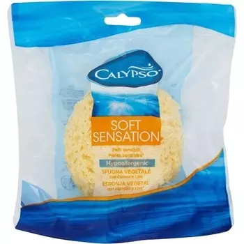Спонтекс Тело, Calypso