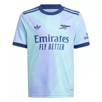 Спортивная футболка ADIDAS PERFORMANCE Performance Arsenal, цвет Aqua
