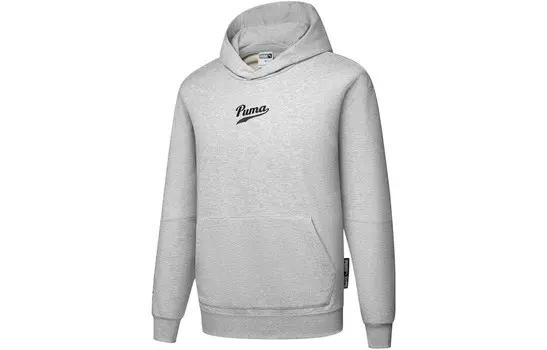 Спортивная коллекция Life Толстовка мужская серая Puma, серый