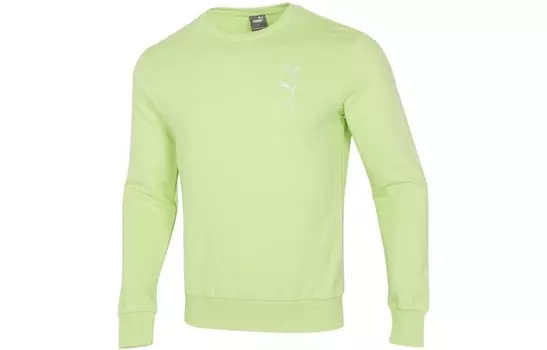 Спортивная коллекция Life Толстовка мужская зеленая Puma, зеленый