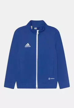 Спортивная куртка Entrada 22 Track Adidas, цвет team royal blue