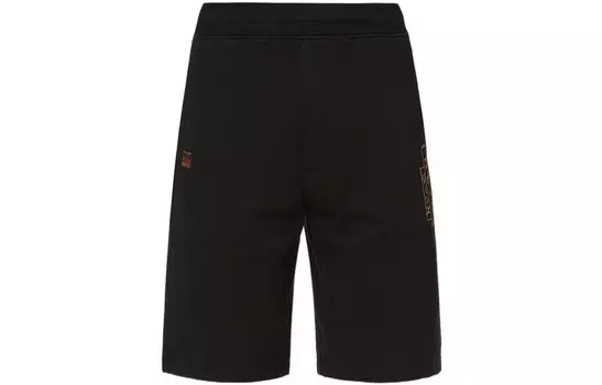 Спортивные шорты мужские черные Evisu, черный