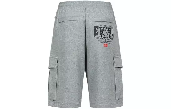 Спортивные шорты мужские Heather Grey Evisu, цвет Heather Gray