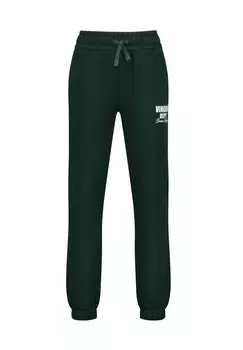 Спортивные штаны BASIC Vingino, зеленый