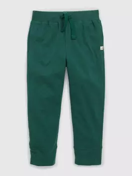 Спортивные штаны Gap, зеленый