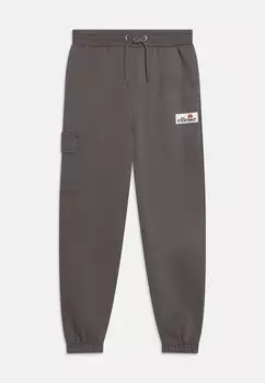 Спортивные штаны VIKING Ellesse, серый