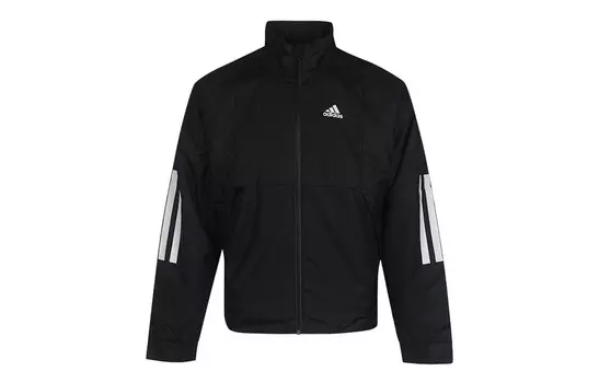 Стеганая куртка мужская черная Adidas, черный
