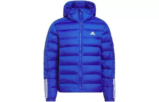 Стеганая куртка мужская синяя Adidas, синий