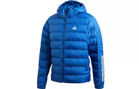 Стеганая куртка мужская синяя Adidas, синий