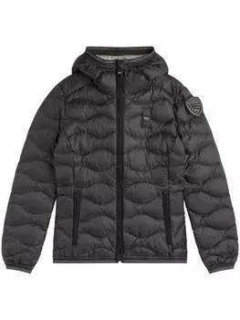 Стеганый пуховик Blauer, черный