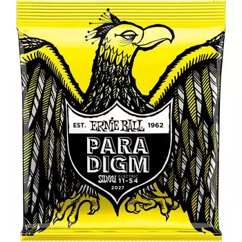 Струны для электрогитары Ernie Ball Paradigm Beefy Slinky (2 шт.)