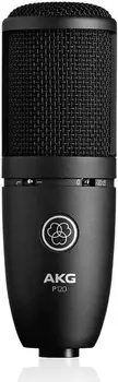 Студийный микрофон AKG P120 General-Purpose Medium Diaphragm Cardioid Condenser Microphone