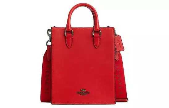 Сумка Дилан COACH