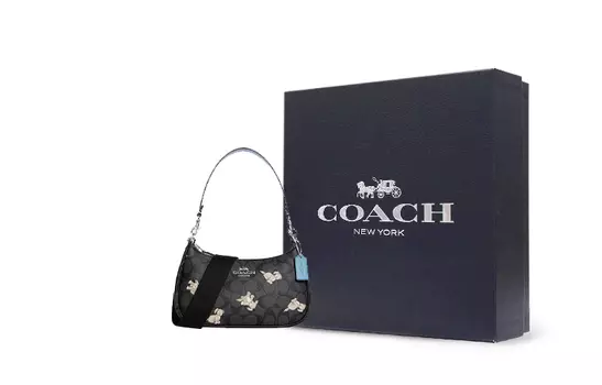 Сумка на плечо Coach Женское Teri