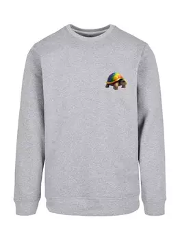 Свитер F4NT4STIC Sweatshirt Rainbow Turtle, серый