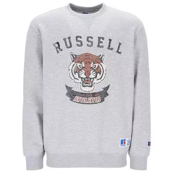 Свитер Russell Athletic E36362, серый