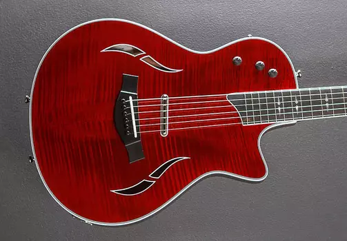 T5Z Pro - Красный Боррего Taylor