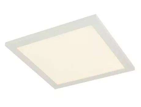 [T] Потолочный светильник Globo Lighting алюминий белого цвета, пластик опаловый, белый, с регулируемой яркостью, цвета могут быть фиксированными, SmartLight, приложение, ночник, пульт дистанционного управления, батарейка в комплекте 2x AAA, совместима с