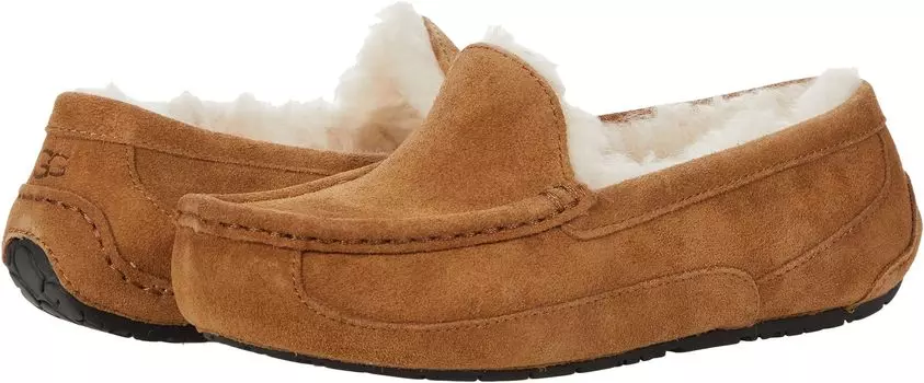 Тапочки Ascot UGG, цвет Chestnut Suede