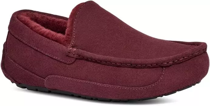 Тапочки Ascot UGG, цвет Wild Grape