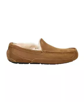 Тапочки Аскот Ugg, коричневый