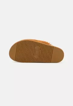 Тапочки CITYWIDE Steve Madden, цвет Tan