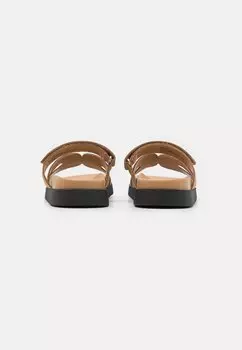 Тапочки Steve Madden, песочный