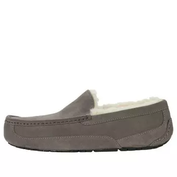 Тапочки тапочки аскот Ugg, серый