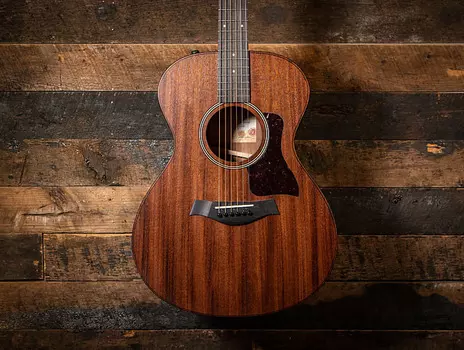 Тейлор AD22e # 63 Taylor