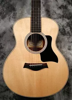 Тейлор - GS Mini-e Ziricote LTD Taylor