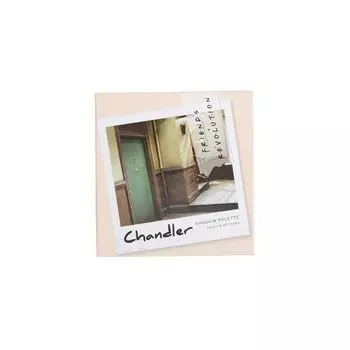 Тени для век Friends X Revolution Paleta de Sombras Chandler Revolution, Multicolor