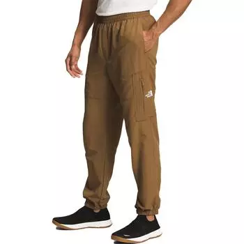 THE NORTH FACE Мужские брюки Hard Shell, цвет Brown