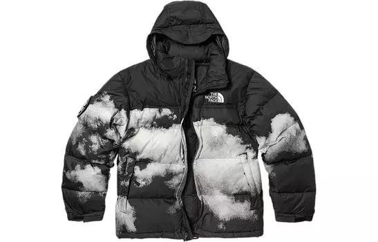 THE NORTH FACE Мужской пуховик, Черный