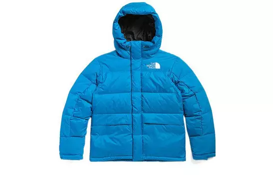 THE NORTH FACE Мужской пуховик, цвет Blue