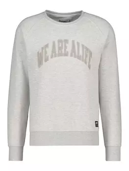 Толстовка alife and kickin Rundhalspullover, Pullover LevinAK A, цвет cloudy melange