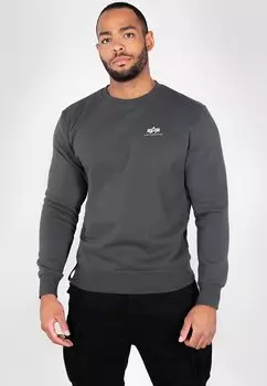 Толстовка Alpha Industries