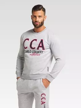 Толстовка далвит Carlo Colucci, серый