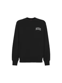 Толстовка DICKIES Aitkin, черный
