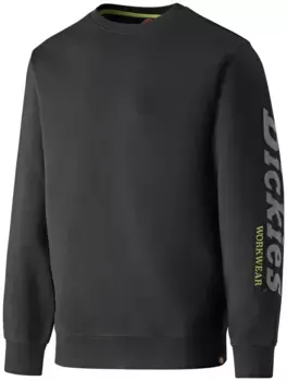 Толстовка Dickies "Okemo Graphic", черный