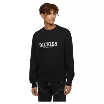 Толстовка Dickies Script, черный