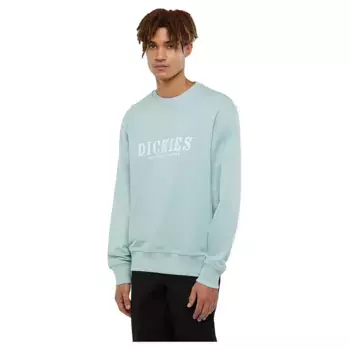 Толстовка Dickies Script, синий