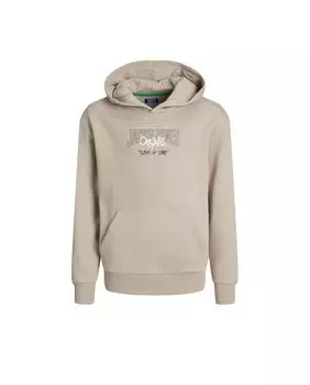 Толстовка для мальчика Jack & Jones, бежевый