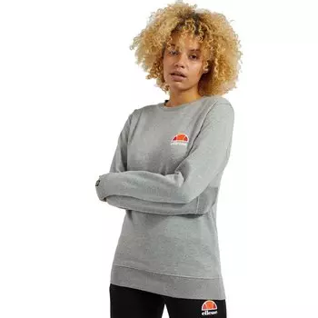 Толстовка Ellesse Ashburton, серый