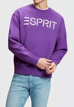 Толстовка Esprit Logo, фиолетовый