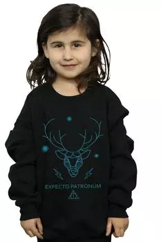 Толстовка Expecto Patronum Harry Potter, черный