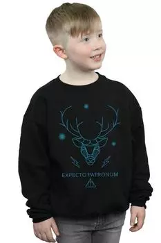 Толстовка Expecto Patronum Harry Potter, черный