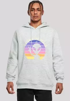 Толстовка F4NT4STIC, серый